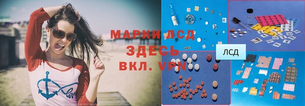 прущие грибы Бородино