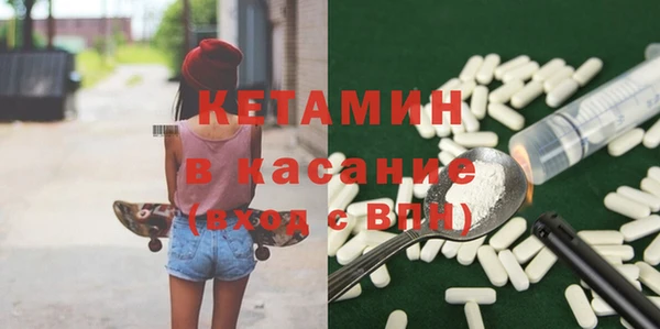 прущие грибы Бородино
