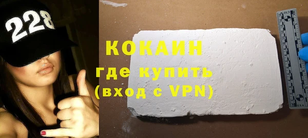прущие грибы Бородино