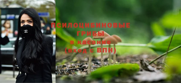 стаф Бронницы