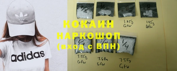 прущие грибы Бородино