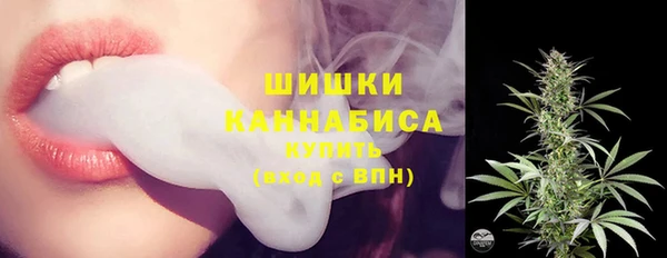 прущие грибы Бородино