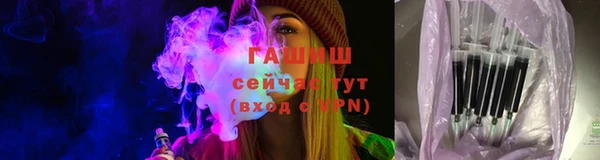 прущие грибы Бородино
