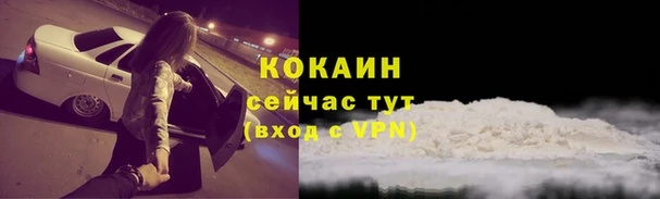 прущие грибы Бородино