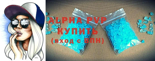прущие грибы Бородино