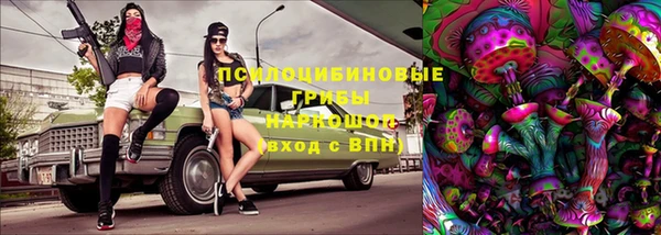 прущие грибы Бородино