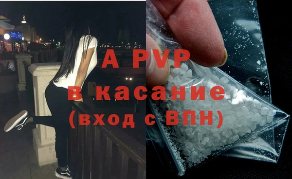 индика Железноводск