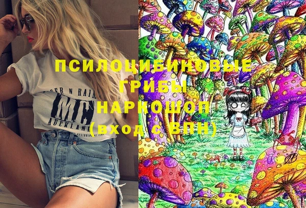 стаф Бронницы