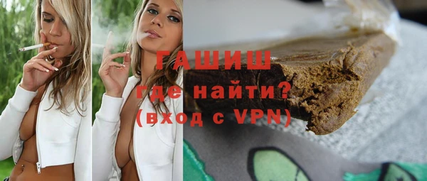 прущие грибы Бородино