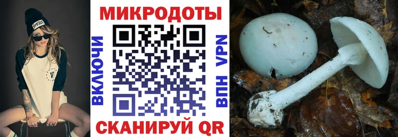 Псилоцибиновые грибы Cubensis  купить наркотики сайты  Минеральные Воды 